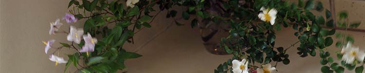 ���i���q | WARP & WEFT Textile Design Studio